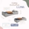 image_4d84761f-52c8-490e-8e8c-26e94df3bcbd