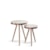 Off White/Cobre